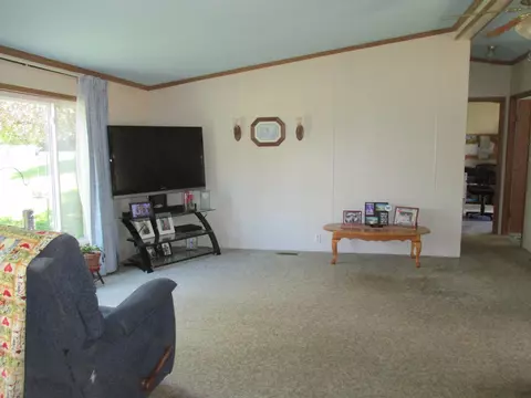 505 E Tyler, Alma, MI 48801 photo 15