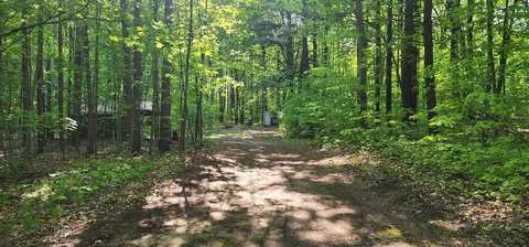 7400 Phelps, Manton, MI 49663