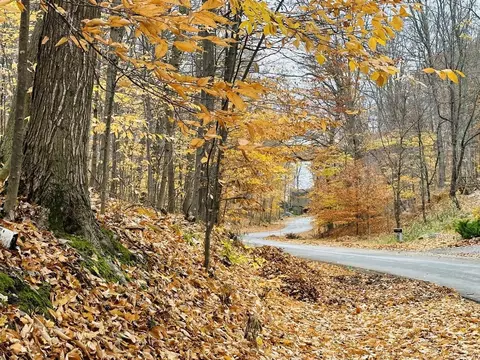 spring valley LOT 19, Beulah, MI 49617