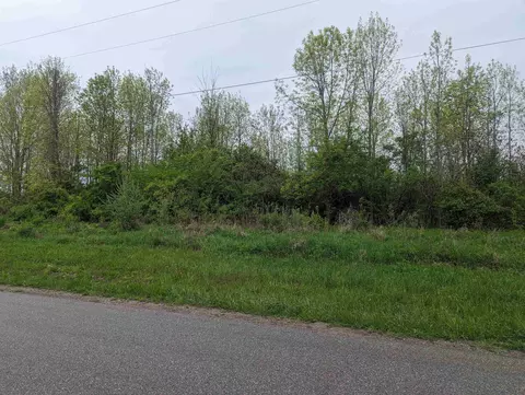 N/a Michigan, Au Gres, MI 48703 photo 12