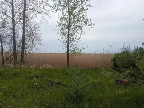 N/a Michigan, Au Gres, MI 48703 photo 10