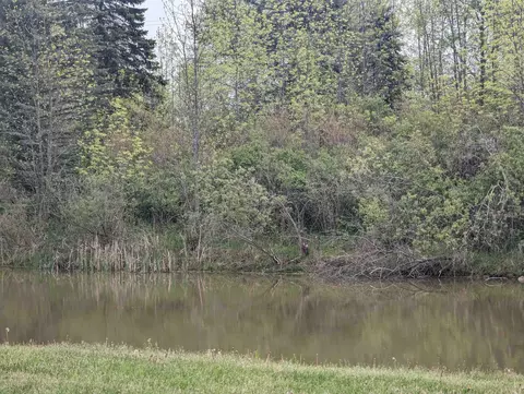 N/a Michigan, Au Gres, MI 48703 photo 4