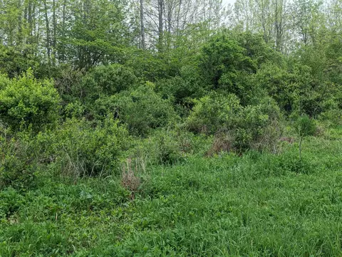 N/a Michigan, Au Gres, MI 48703 photo 7
