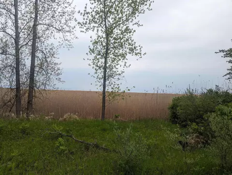 N/a Michigan, Au Gres, MI 48703