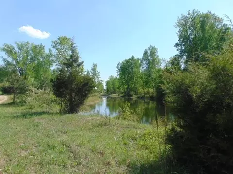 7300 W Washington, Sumner, MI 48889 photo 5