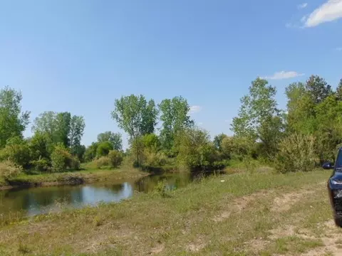 7300 W Washington, Sumner, MI 48889 photo 10