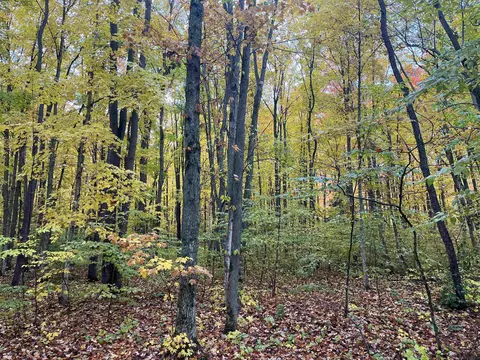 Greenleaf, Grawn, MI 49637 photo 6