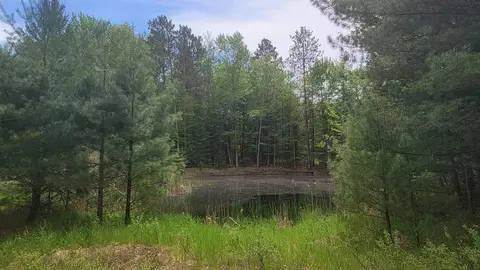 Nnn Gladwin, Prudenville, MI 48651