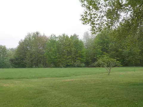 1775 E County Line, Hale, MI 48739 photo 33