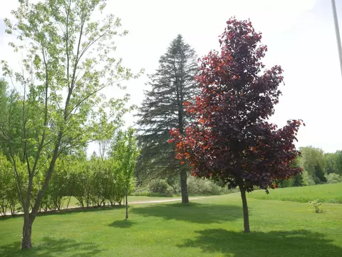 1775 E County Line, Hale, MI 48739 photo 31