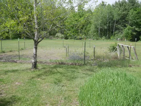 1775 E County Line, Hale, MI 48739 photo 32