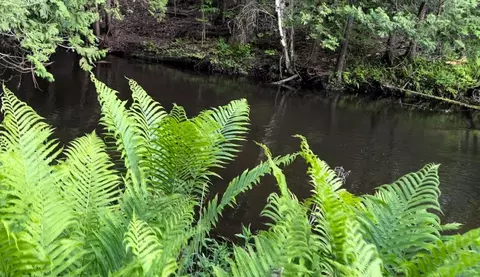 lot13 Columbus #LOT : 13, Farwell, MI 48622