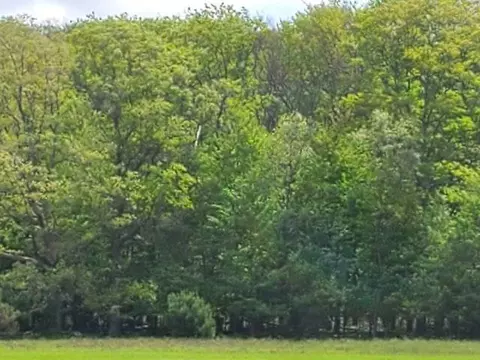 0 W Baroda, West Branch, MI 48661