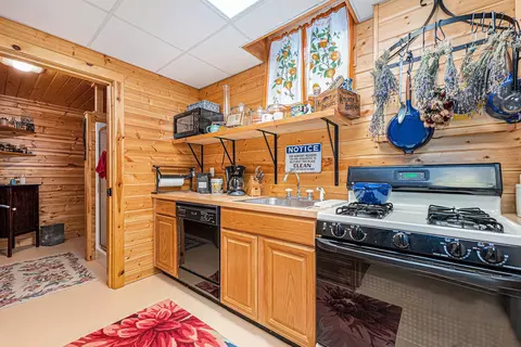 355 Shields, Beulah, MI 49617 photo 24