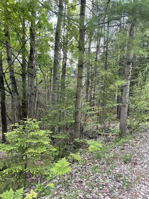 0 Franklin #LOT : 331-32, Sterling, MI 48658