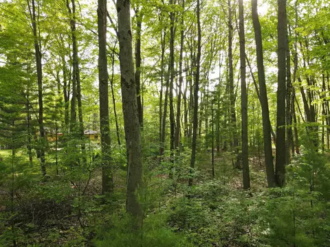 Exterior - 4815 E Michigan, Au Gres, MI 48703 photo 6 of 12
