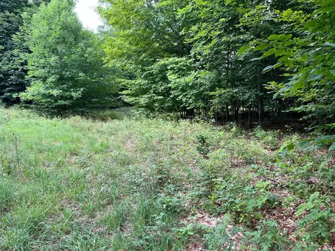 lot 1 w timber view LOT : 1, Empire, MI 49630