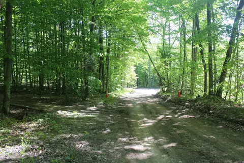 00 Crawford, Ellsworth, MI 49729