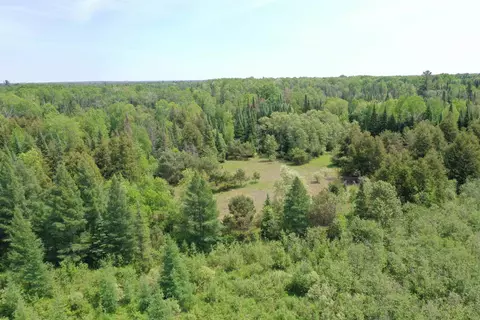 Na Morrison, West Branch, MI 48661