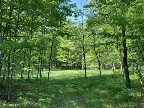 3240 S Baroda #LOT : 31, West Branch, MI 48661