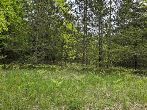 00 E 26, Cadillac, MI 49601 photo 4