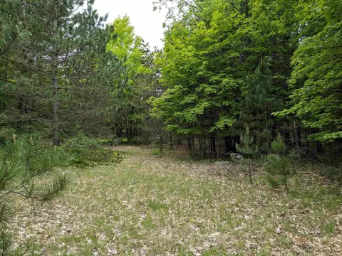 00 E 26, Cadillac, MI 49601 photo 5