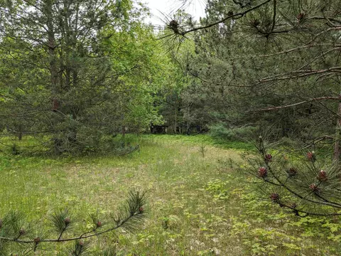 00 E 26, Cadillac, MI 49601 photo 6