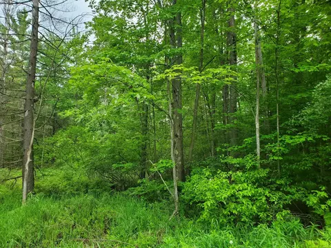 0 Acorn, Prescott, MI 48756