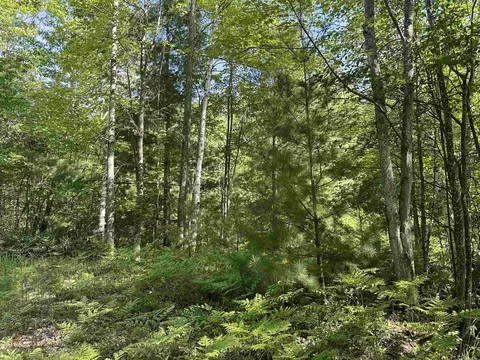 0 Fern, Cadillac, MI 49601