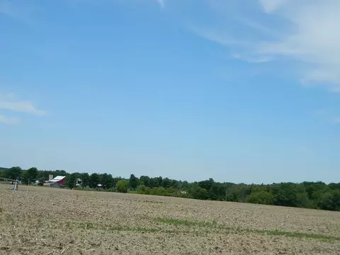 5900 S Woodruff, Remus, MI 49340