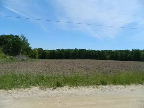 6900 S Woodruff, Blanchard, MI 49310