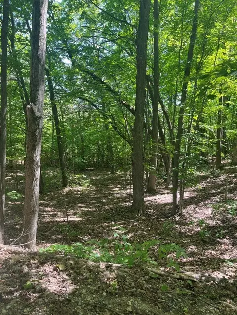 Parcel A N 45, Manton, MI 49663