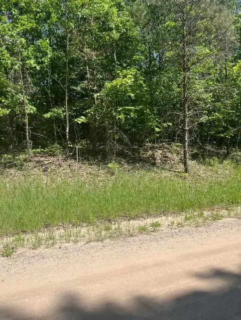 Parcel E N 45, Manton, MI 49663