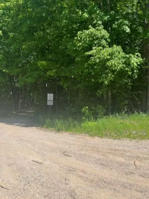 Parcel E N 45, Manton, MI 49663 photo 3