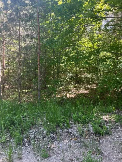 Parcel E N 45, Manton, MI 49663 photo 5