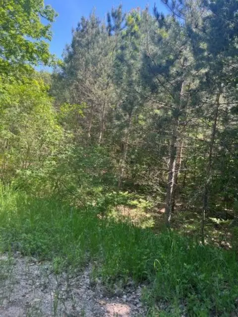 Parcel E N 45, Manton, MI 49663 photo 6