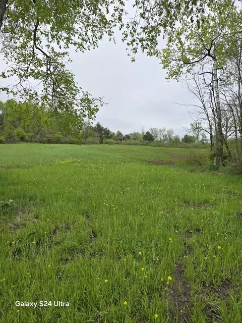 Exterior - 10559 Millbrook, Blanchard, MI 49310 photo 16 of 24