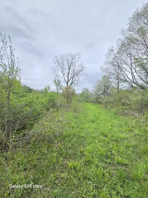 Other - 10559 Millbrook, Blanchard, MI 49310 photo 7 of 27