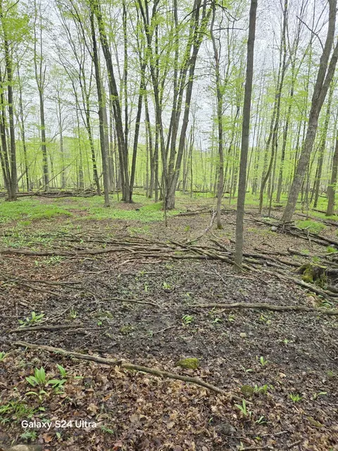 Other - 10559 Millbrook, Blanchard, MI 49310 photo 14 of 27