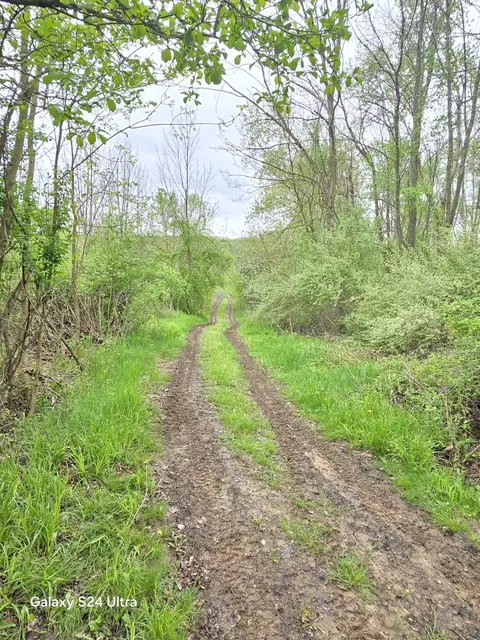 Other - 10559 Millbrook, Blanchard, MI 49310 photo 12 of 27