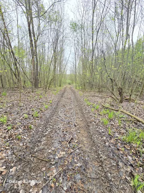 Other - 10559 Millbrook, Blanchard, MI 49310 photo 13 of 27