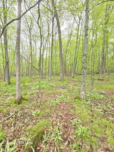 Other - 10559 Millbrook, Blanchard, MI 49310 photo 15 of 27