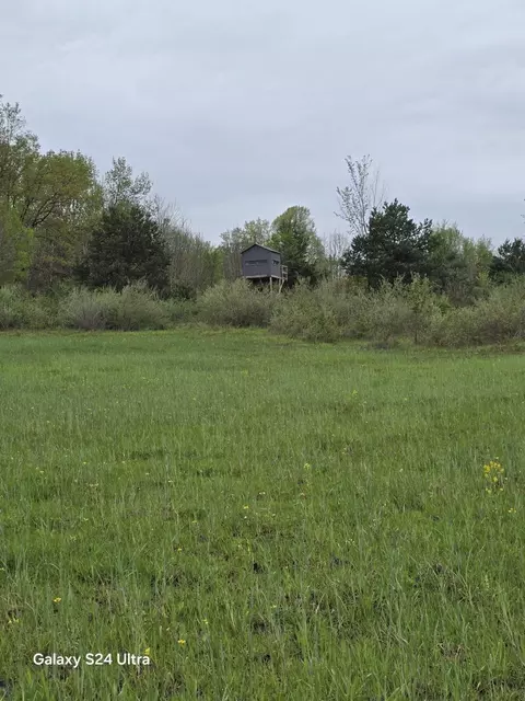 Exterior - 10559 Millbrook, Blanchard, MI 49310 photo 15 of 24