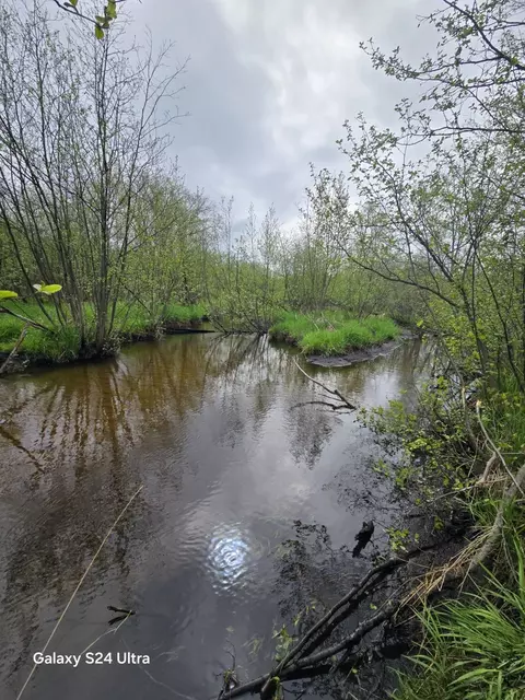 View/Area - 10559 Millbrook, Blanchard, MI 49310 photo 2 of 19