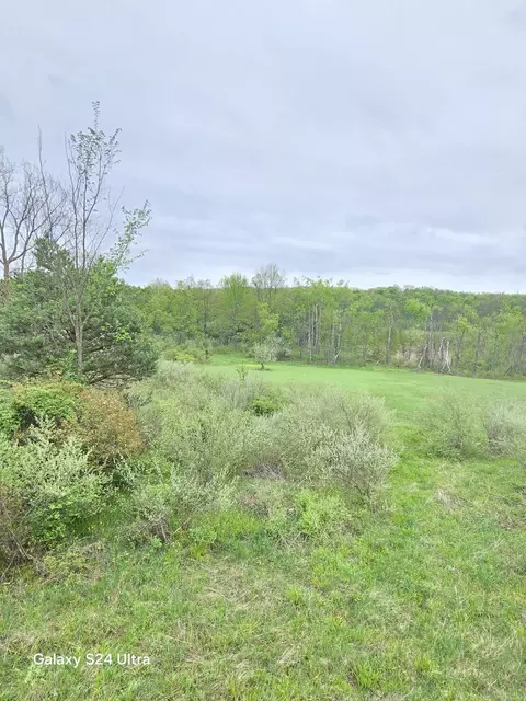 Other - 10559 Millbrook, Blanchard, MI 49310 photo 8 of 27