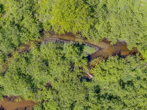View/Area - 10559 Millbrook, Blanchard, MI 49310 photo 12 of 19