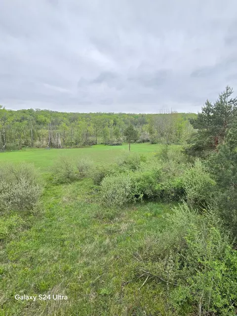 Other - 10559 Millbrook, Blanchard, MI 49310 photo 5 of 27