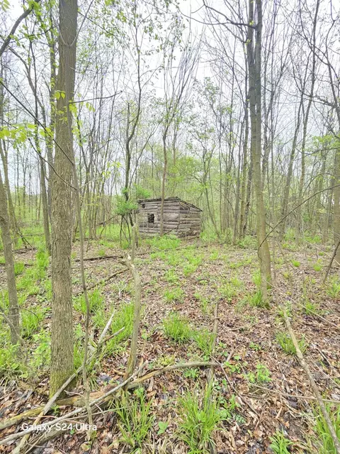 Other - 10559 Millbrook, Blanchard, MI 49310 photo 11 of 27