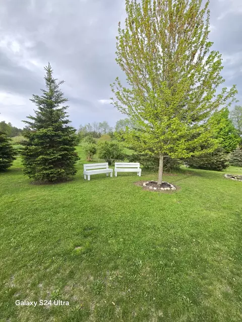 Exterior - 10559 Millbrook, Blanchard, MI 49310 photo 17 of 24