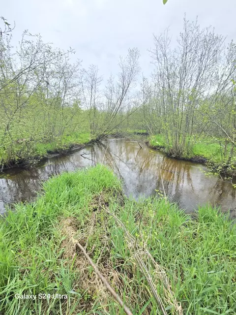 View/Area - 10559 Millbrook, Blanchard, MI 49310 photo 6 of 19